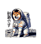 宇宙な柴犬 ドット絵 日常会話 40種（個別スタンプ：1）