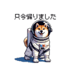 宇宙な柴犬 ドット絵 日常会話 40種（個別スタンプ：3）