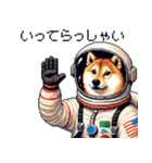 宇宙な柴犬 ドット絵 日常会話 40種（個別スタンプ：4）