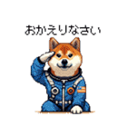 宇宙な柴犬 ドット絵 日常会話 40種（個別スタンプ：5）