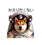 宇宙な柴犬 ドット絵 日常会話 40種（個別スタンプ：8）