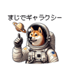 宇宙な柴犬 ドット絵 日常会話 40種（個別スタンプ：13）