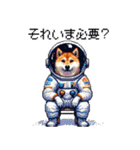 宇宙な柴犬 ドット絵 日常会話 40種（個別スタンプ：15）