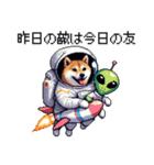 宇宙な柴犬 ドット絵 日常会話 40種（個別スタンプ：16）