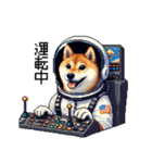 宇宙な柴犬 ドット絵 日常会話 40種（個別スタンプ：19）