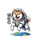 宇宙な柴犬 ドット絵 日常会話 40種（個別スタンプ：20）