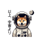 宇宙な柴犬 ドット絵 日常会話 40種（個別スタンプ：21）