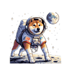 宇宙な柴犬 ドット絵 日常会話 40種（個別スタンプ：24）