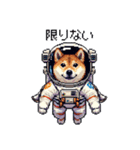 宇宙な柴犬 ドット絵 日常会話 40種（個別スタンプ：26）