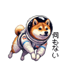 宇宙な柴犬 ドット絵 日常会話 40種（個別スタンプ：28）