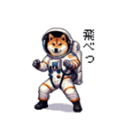 宇宙な柴犬 ドット絵 日常会話 40種（個別スタンプ：29）