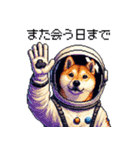 宇宙な柴犬 ドット絵 日常会話 40種（個別スタンプ：31）