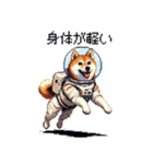 宇宙な柴犬 ドット絵 日常会話 40種（個別スタンプ：35）