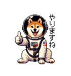 宇宙な柴犬 ドット絵 日常会話 40種（個別スタンプ：39）