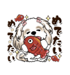 シーズー犬 (ロン毛)『お祝い・喜び』（個別スタンプ：2）