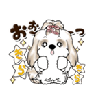 シーズー犬 (ロン毛)『お祝い・喜び』（個別スタンプ：3）