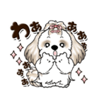 シーズー犬 (ロン毛)『お祝い・喜び』（個別スタンプ：4）