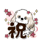 シーズー犬 (ロン毛)『お祝い・喜び』（個別スタンプ：5）
