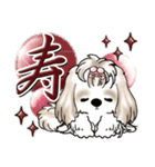 シーズー犬 (ロン毛)『お祝い・喜び』（個別スタンプ：6）