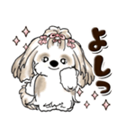 シーズー犬 (ロン毛)『お祝い・喜び』（個別スタンプ：7）
