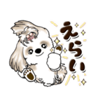 シーズー犬 (ロン毛)『お祝い・喜び』（個別スタンプ：8）