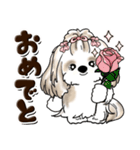 シーズー犬 (ロン毛)『お祝い・喜び』（個別スタンプ：9）