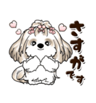シーズー犬 (ロン毛)『お祝い・喜び』（個別スタンプ：11）