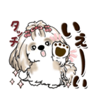 シーズー犬 (ロン毛)『お祝い・喜び』（個別スタンプ：12）