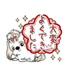 シーズー犬 (ロン毛)『お祝い・喜び』（個別スタンプ：13）