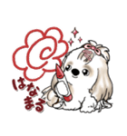 シーズー犬 (ロン毛)『お祝い・喜び』（個別スタンプ：14）