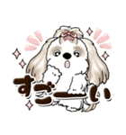シーズー犬 (ロン毛)『お祝い・喜び』（個別スタンプ：15）