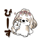 シーズー犬 (ロン毛)『お祝い・喜び』（個別スタンプ：16）