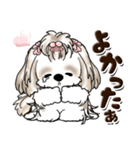シーズー犬 (ロン毛)『お祝い・喜び』（個別スタンプ：24）