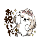 シーズー犬 (ロン毛)『お祝い・喜び』（個別スタンプ：25）