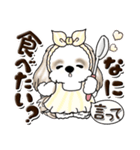 シーズー犬 (ロン毛)『お祝い・喜び』（個別スタンプ：29）
