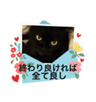 黒猫 ルナ院長135にゃんめ（個別スタンプ：8）