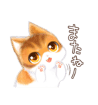 ねこじかんのおあげとくろまめ（個別スタンプ：38）