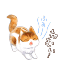 ねこじかんのおあげとくろまめ（個別スタンプ：40）