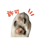まはほ（個別スタンプ：34）