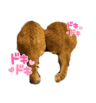 長崎弁×ネコ【実写】（個別スタンプ：2）