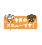 元気なダックスたちの業務連絡 (修正版)（個別スタンプ：9）