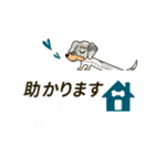 元気なダックスたちの業務連絡 (修正版)（個別スタンプ：13）