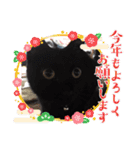 家のチャチャ（個別スタンプ：1）
