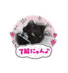 家のチャチャ（個別スタンプ：7）