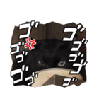 家のチャチャ（個別スタンプ：21）