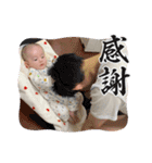 すぐるさんすたんぷ（個別スタンプ：12）