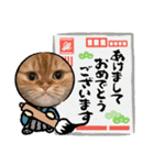 猫だらけ あけおめ（個別スタンプ：10）