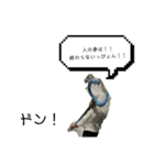 かわさんクソコラスタン部4.2Z（個別スタンプ：26）