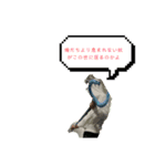 かわさんクソコラスタン部4.2Z（個別スタンプ：28）
