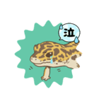 レオパのヒマちゃん（個別スタンプ：4）